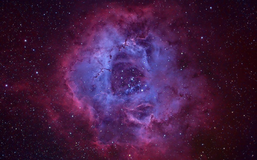 Rosette Nebula, a transoceanic image by JM Drudis & Aleix Roig