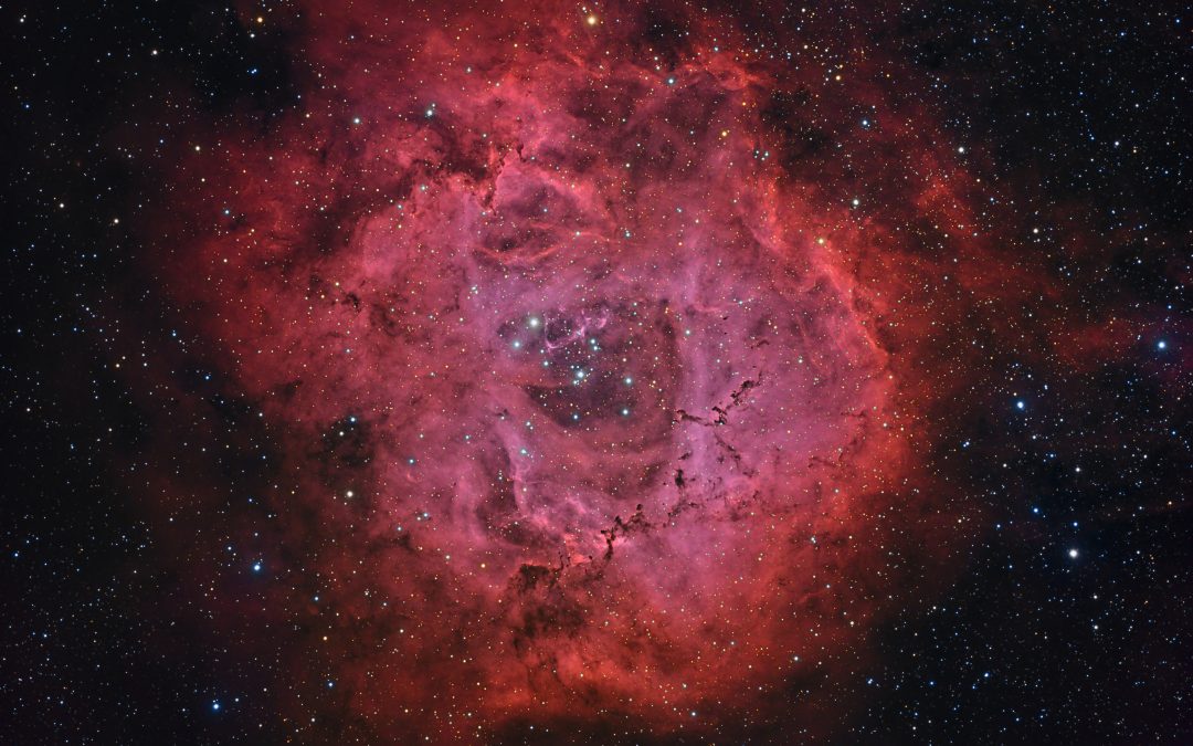 The Rosette Nebula, NGC 2237