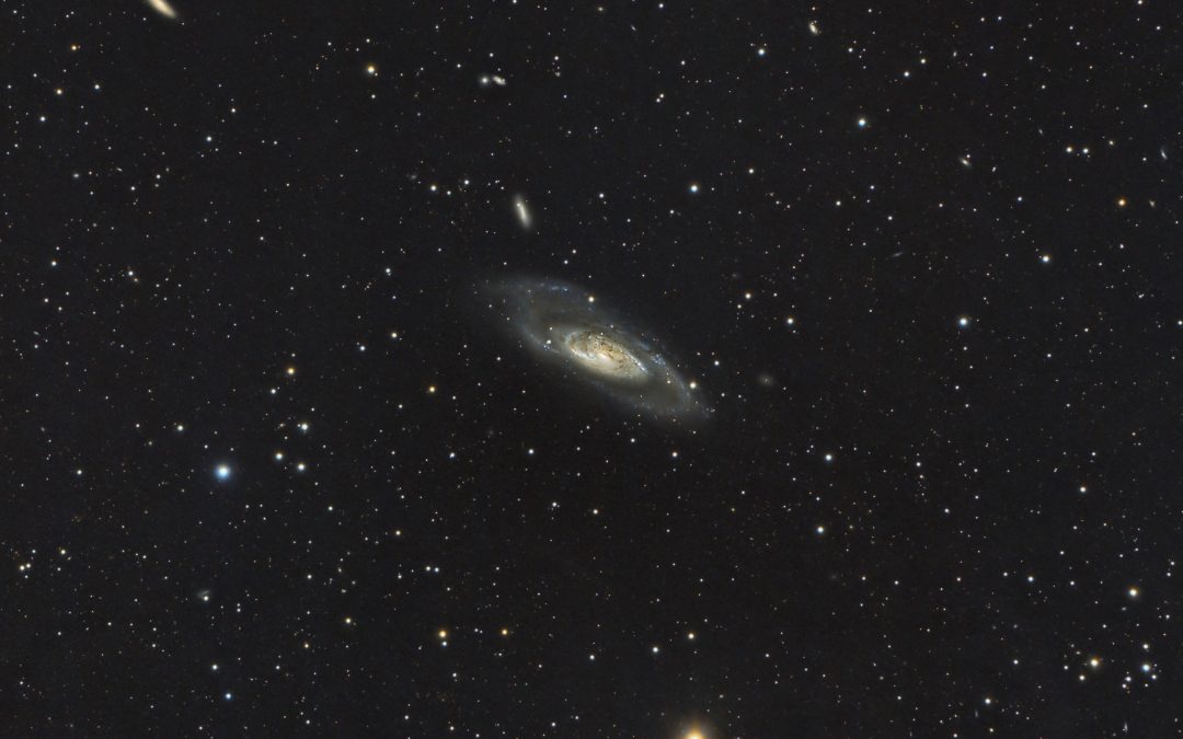 M106 galaxy and friends, wide field
