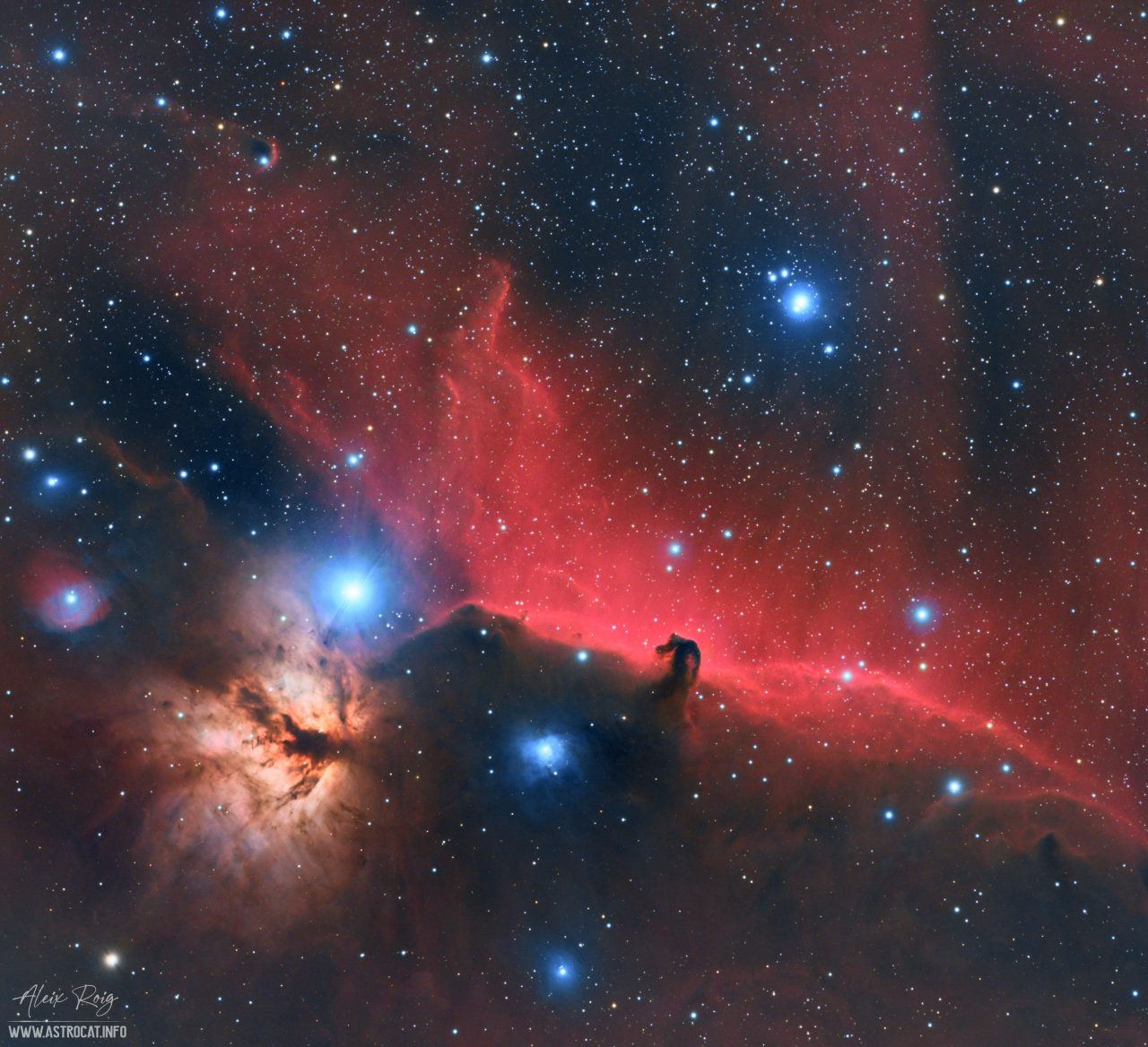 The Horsehead and Flame Nebulae | Astrocat