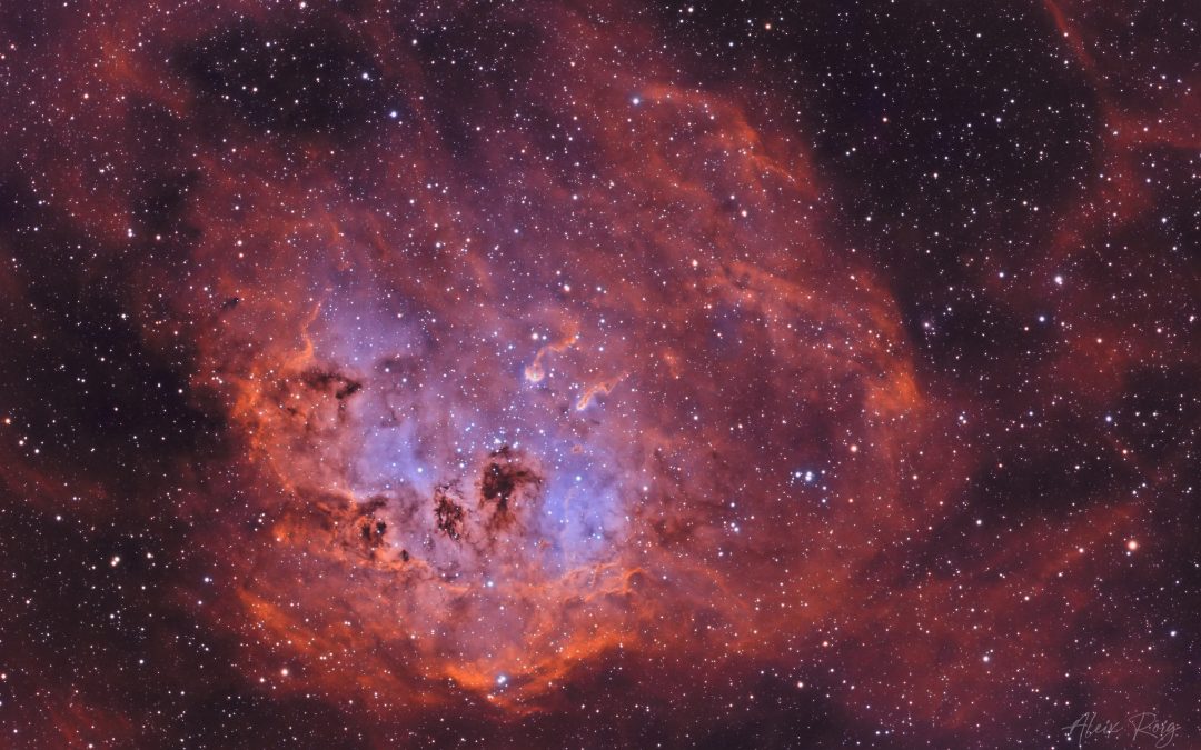 IC 410, Tadpoles Nebula