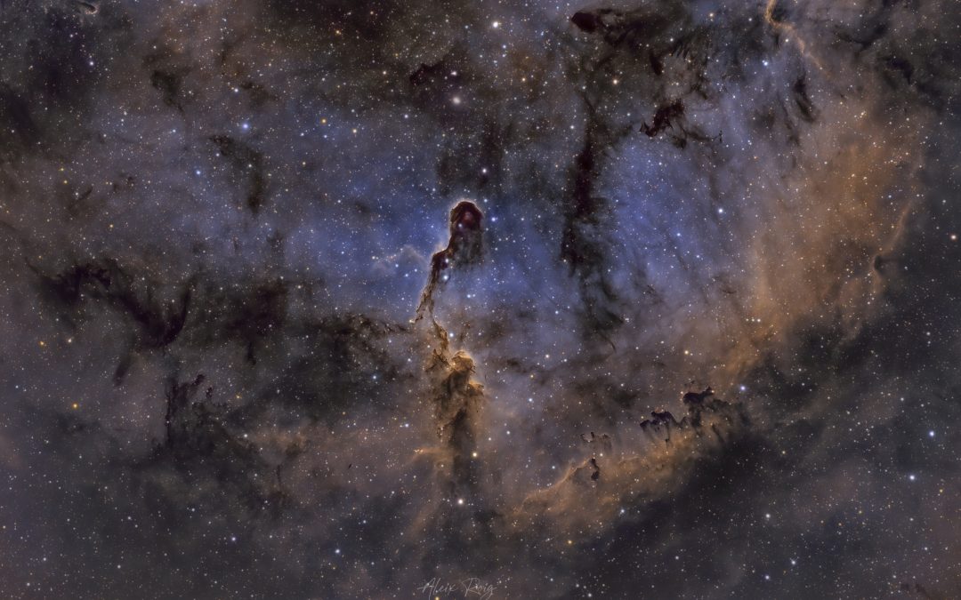 The Elephant’s Trunk Nebula, IC1396