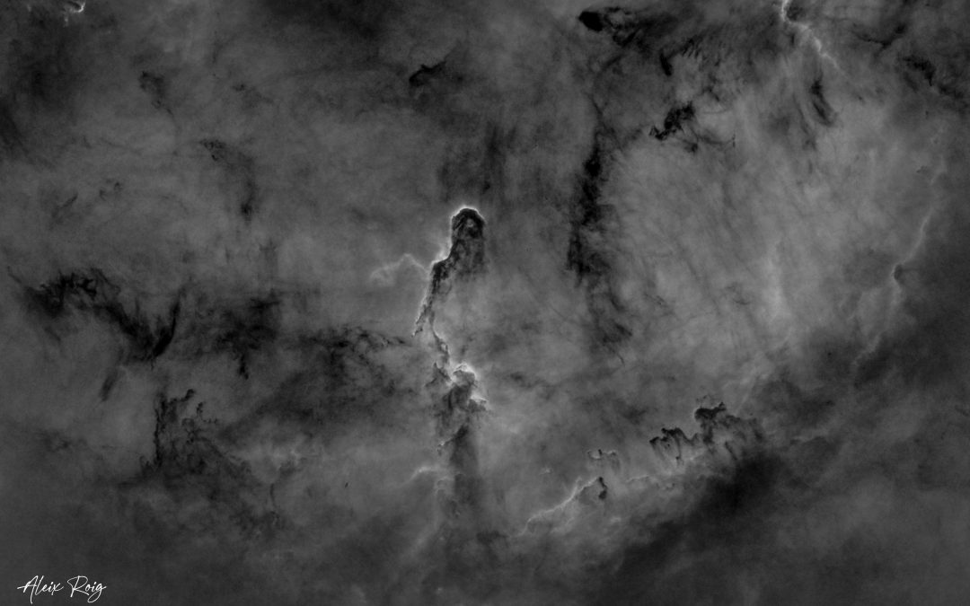 The Elephant’s Trunk Nebula, IC1396 – Hα emission