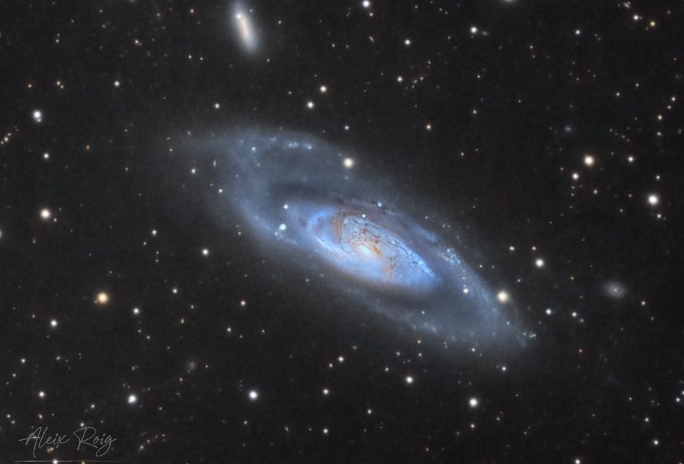 M106 wide field of galaxies with IFN