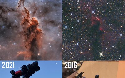 IC 1396: a 5 year evolution