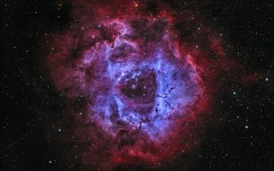The Rosette Nebula, sculpted by stellar winds and radiation