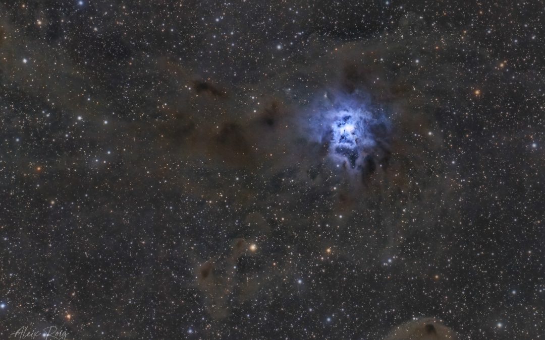 Iris Nebula, NGC 7023