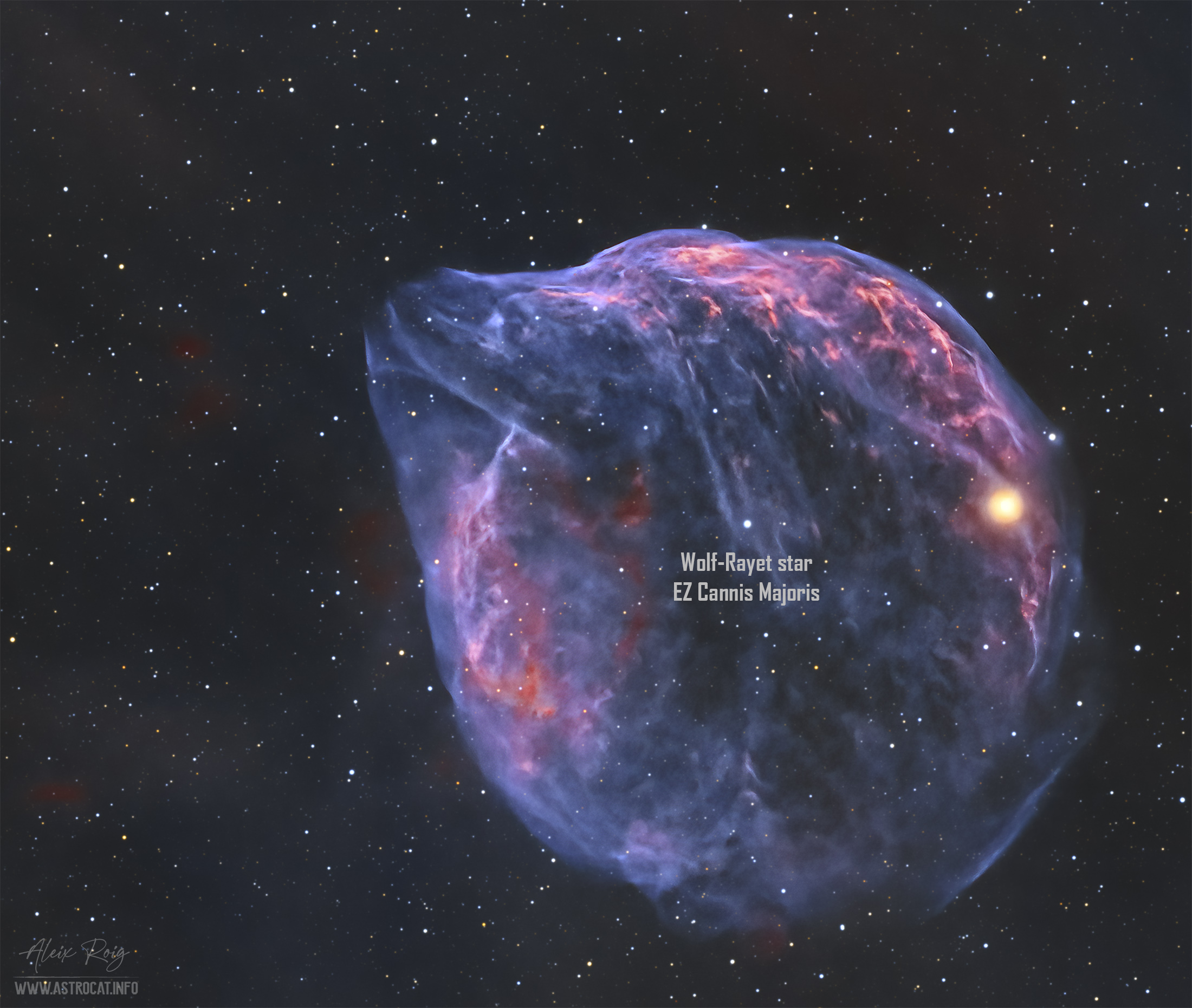 APOD – Sh2-308: A Dolphin Shaped Star Bubble | Astrocat