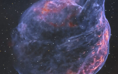 Sharpless-308: The Dolphin Nebula and its Wolf-Rayet star