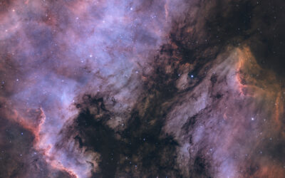 North America & Pelican Nebulae