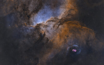 The Dragons of Ara, NGC 6188