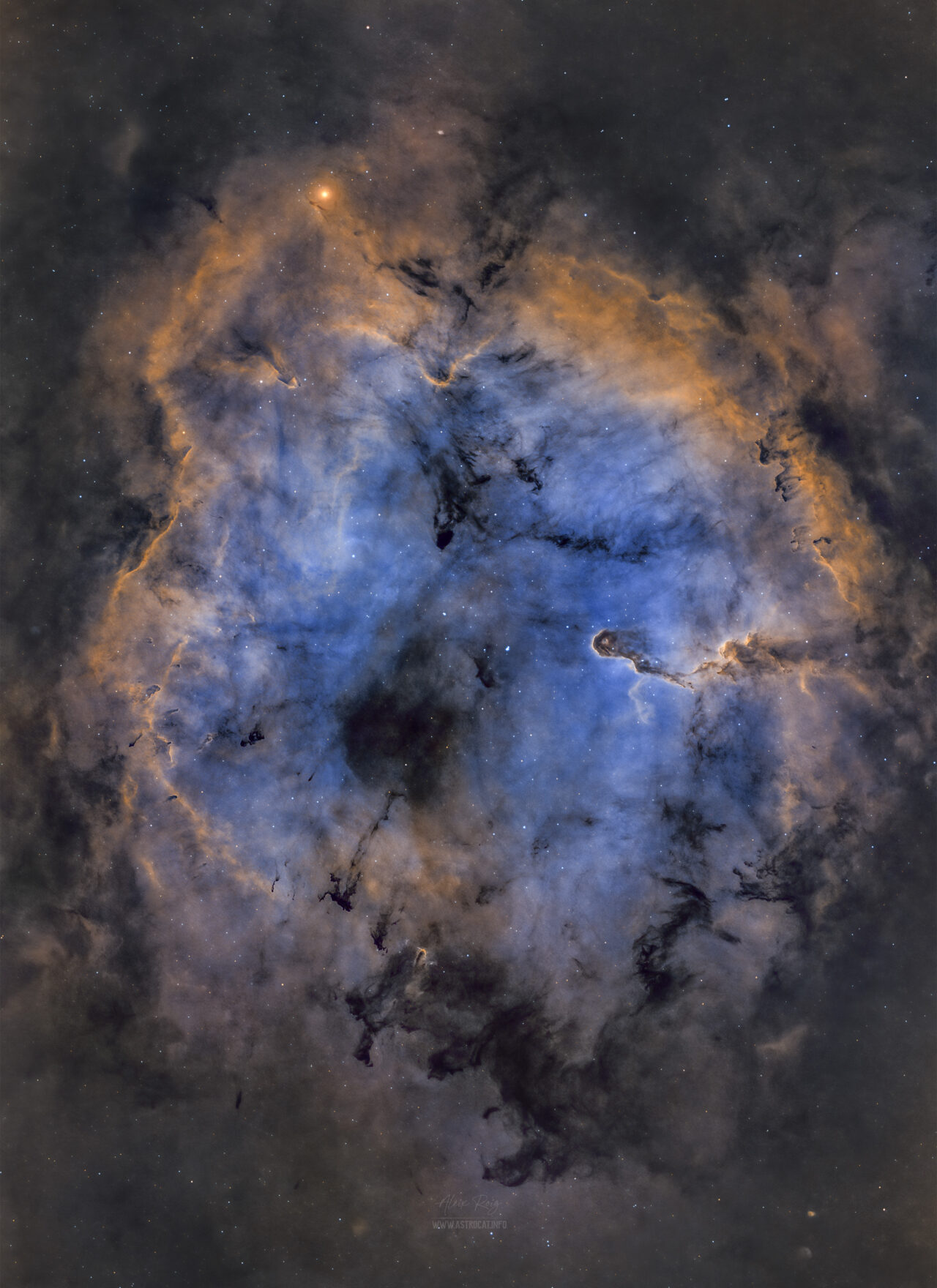 Emission Nebula in Cepheus, IC1396 | Astrocat