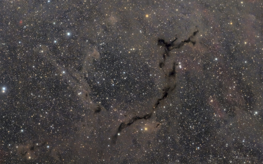Barnard 150, Seahorse in Cepheus