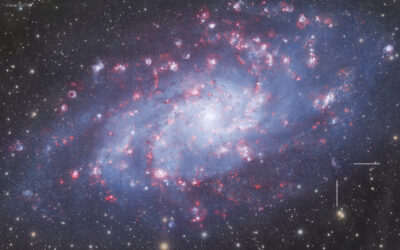 Discovery of a Large and Faint Nebula at the Triangulum Galaxy