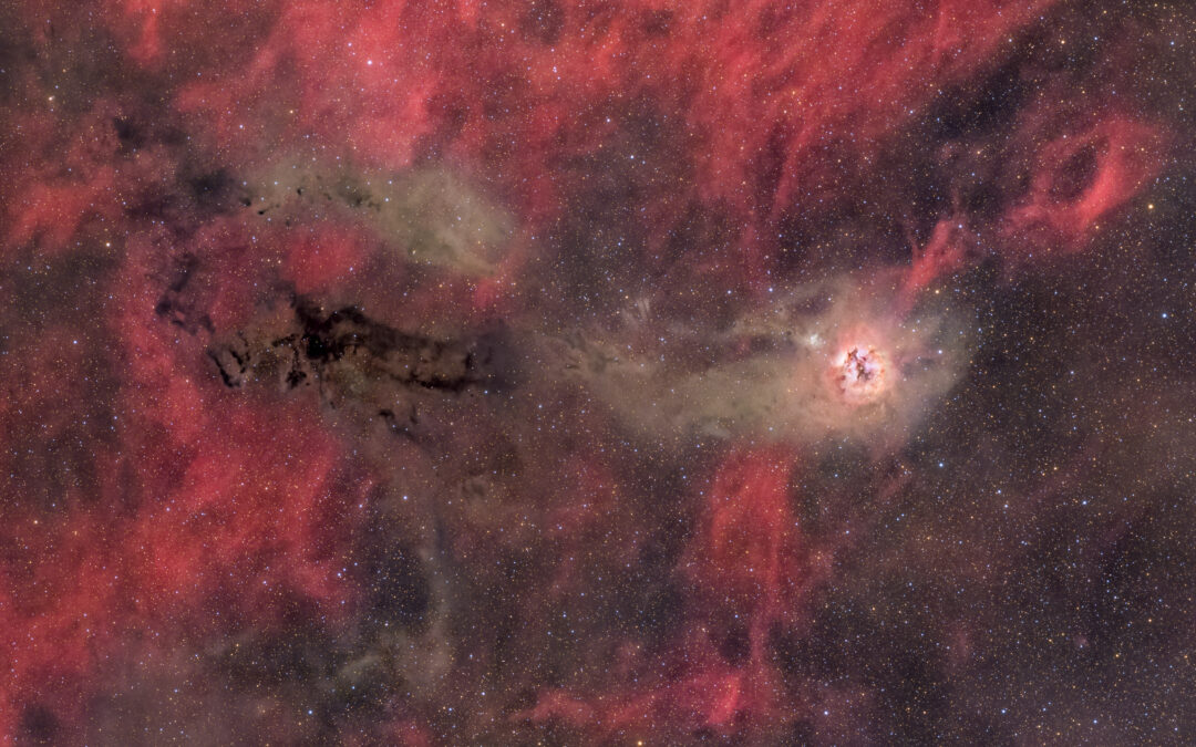 The Cocoon nebula, IC 5146