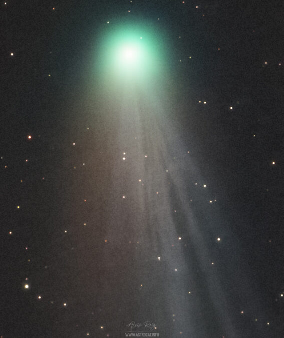 Comet 12P/Pons-Brooks, March 12th