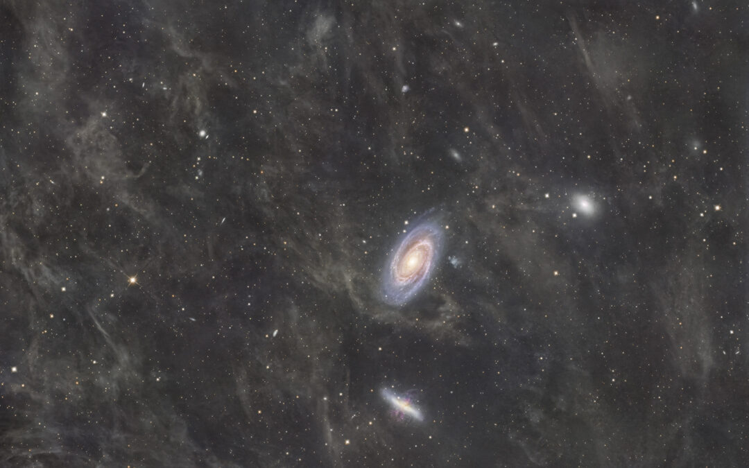 The M81 Galaxy Group and the IFN